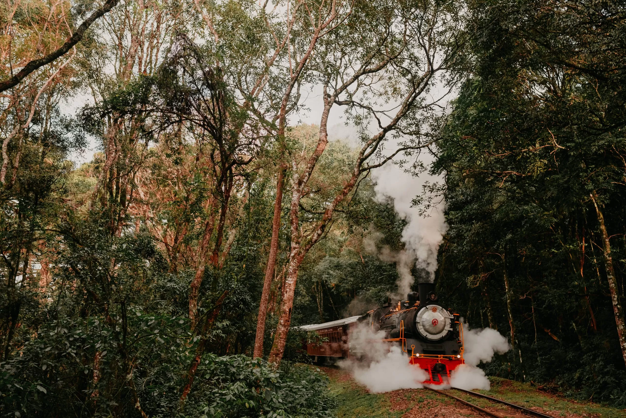 Tour Uva e Vinho + Passeio de Maria Fumaça + Epopeia + Almoço (Coletivo) - Imagem 5